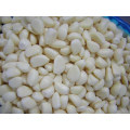 New Crop Frisch geschälte Knoblauch (220-260 Grains / kg)